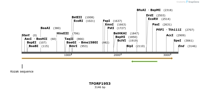 280829_map
