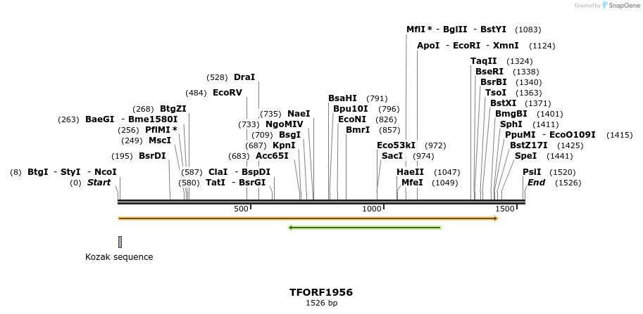 280832_map
