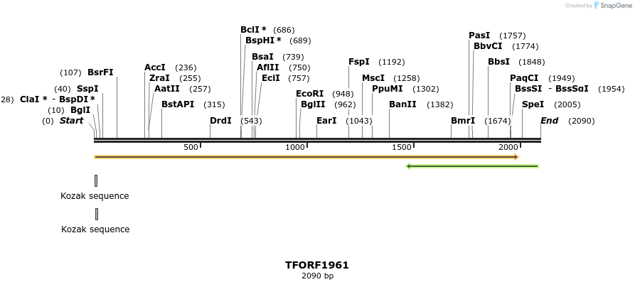 280835_map