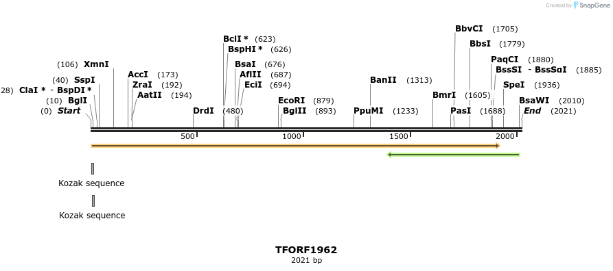 280838_map