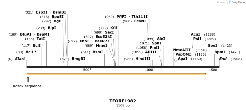280841_map