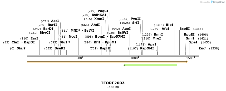 280844_map
