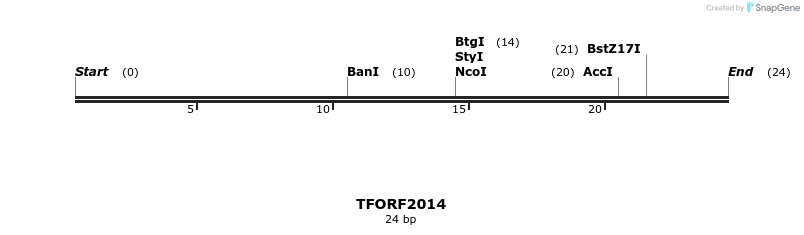 280851_map