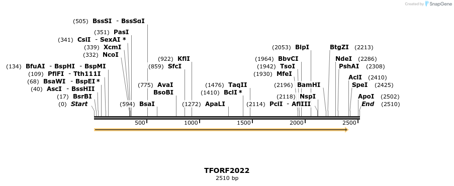 280853_map