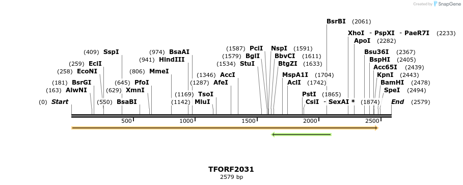 280856_map