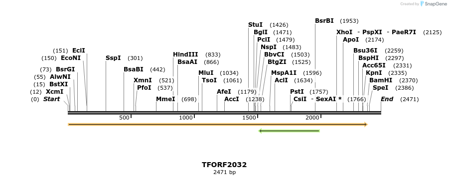 280859_map