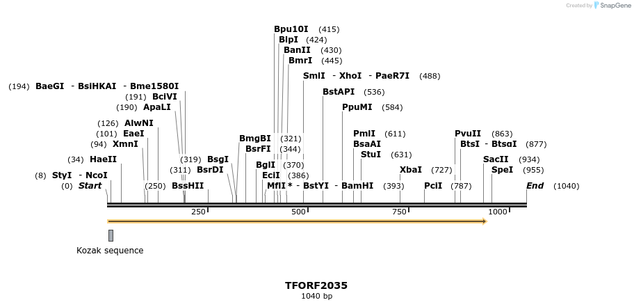 280862_map