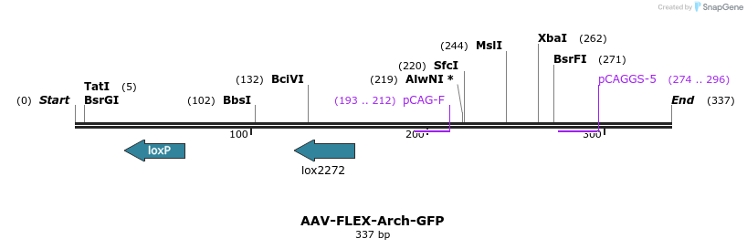 28087_map