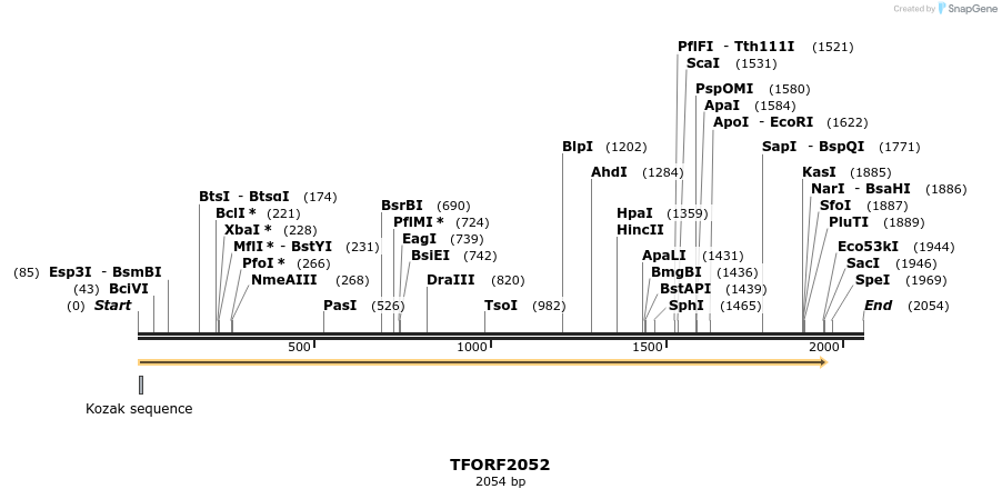 280871_map