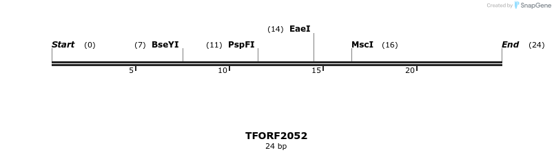 280872_map