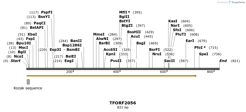 280877_map