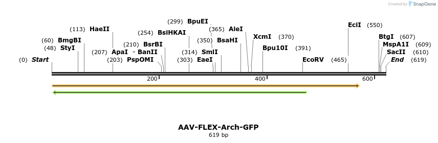 28088_map