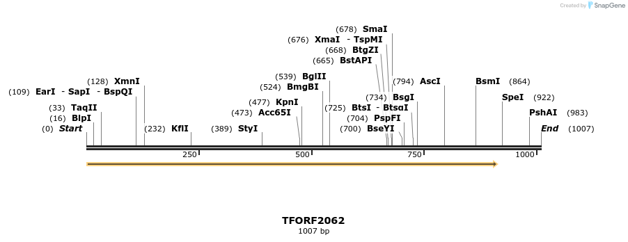 280880_map