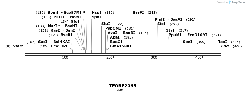 280883_map