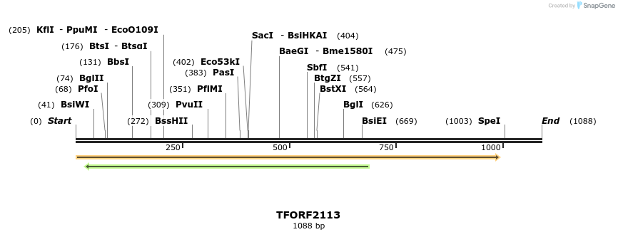 280886_map