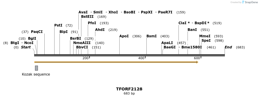 280889_map