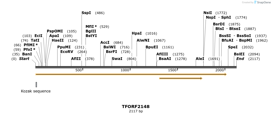 280895_map