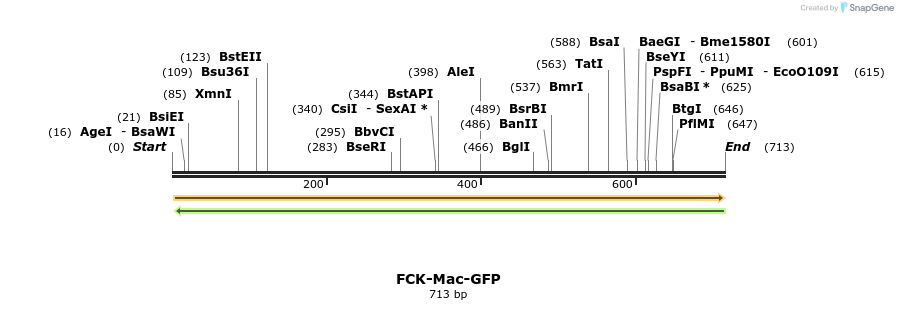 28090_map