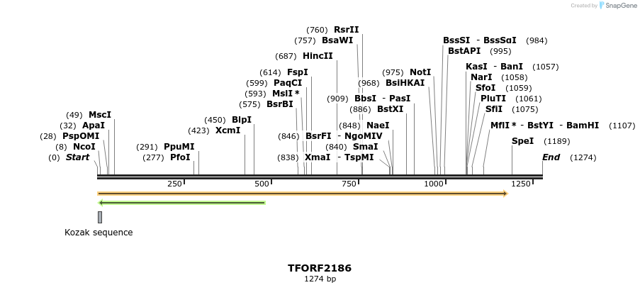 280907_map