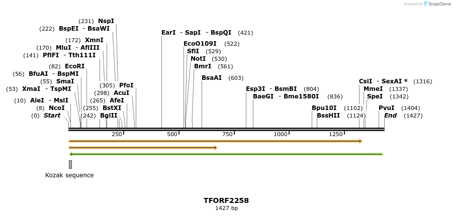 280919_map