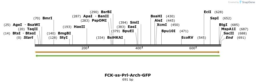 28092_map