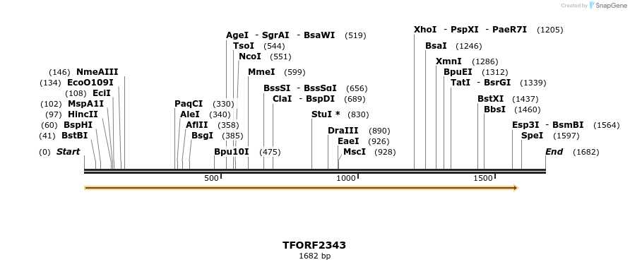 280931_map