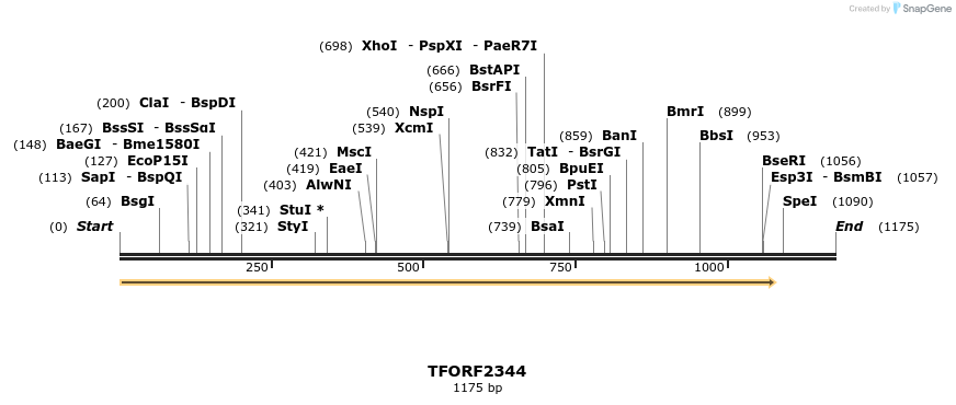280934_map