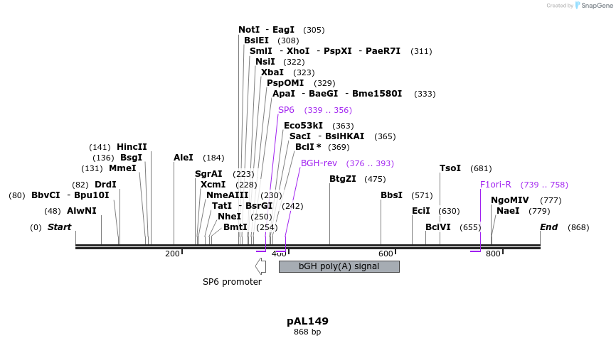 28094_map