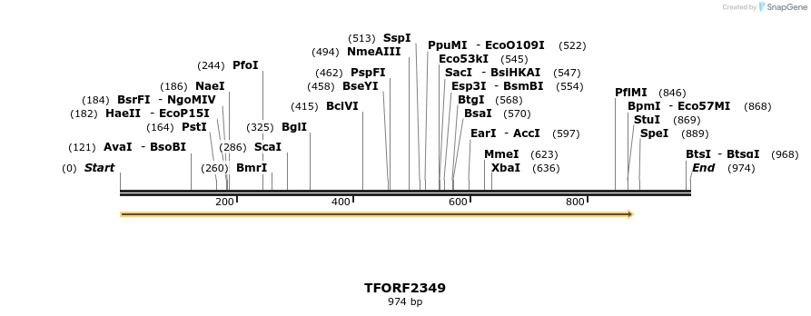 280940_map
