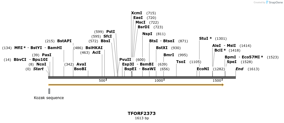 280946_map