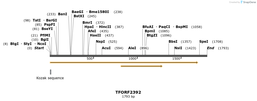 280955_map