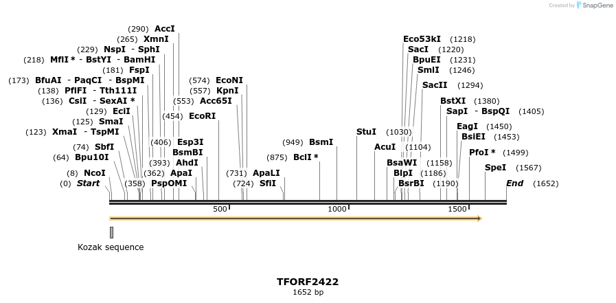 280958_map