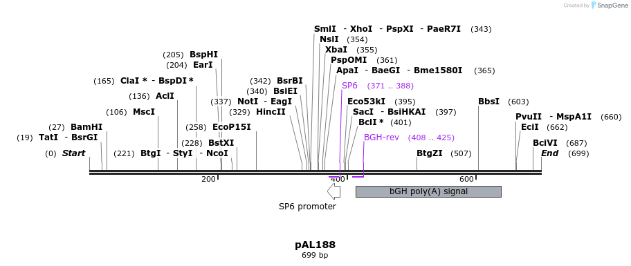 28096_map