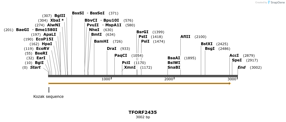 280961_map