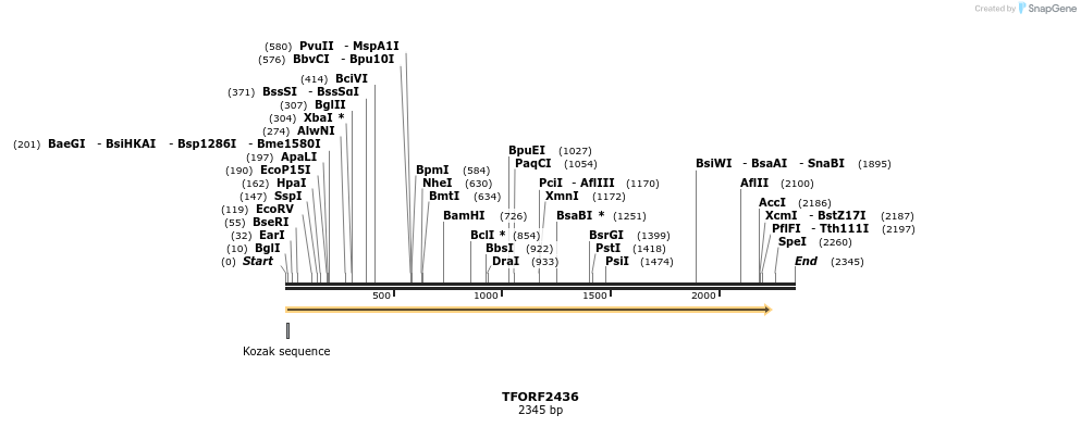 280964_map