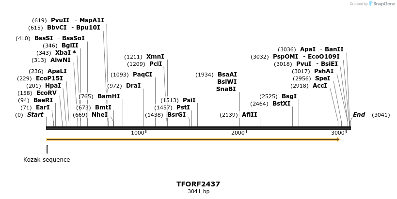 280967_map