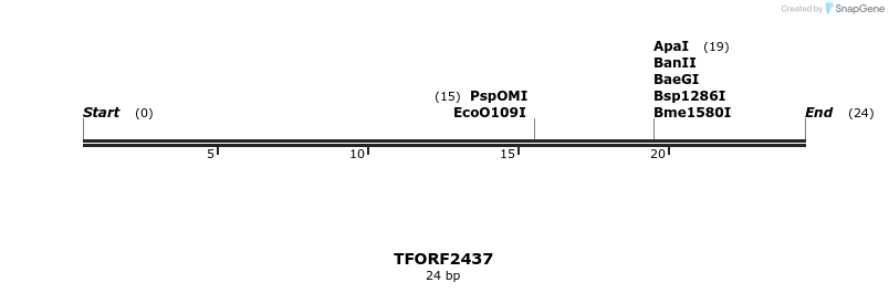280968_map