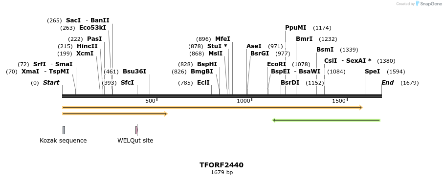 280970_map