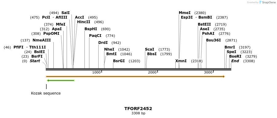 280973_map