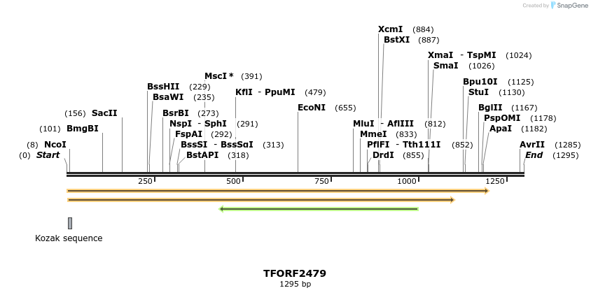 280979_map