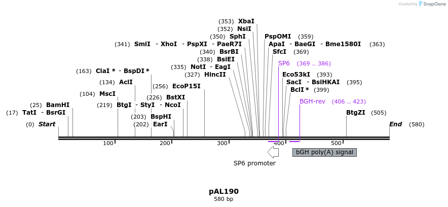 28098_map