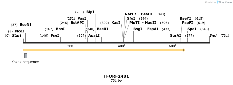 280982_map
