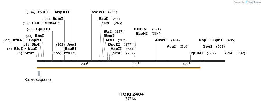 280985_map