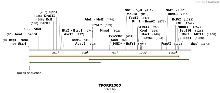 280988_map