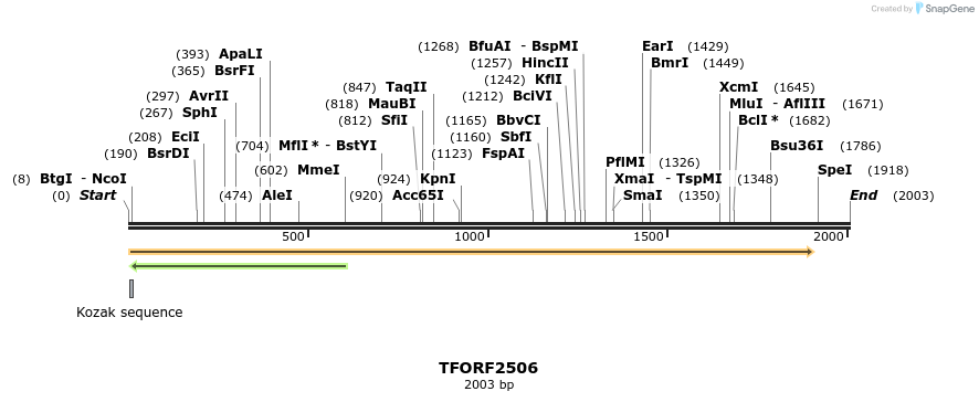 280991_map