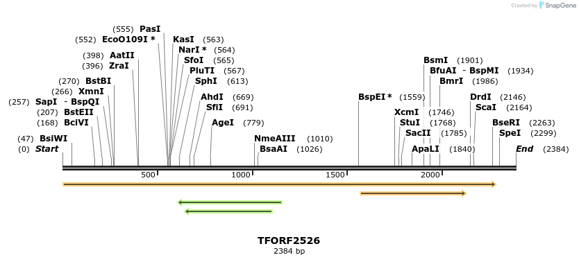 280994_map