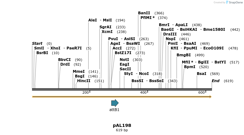 28100_map