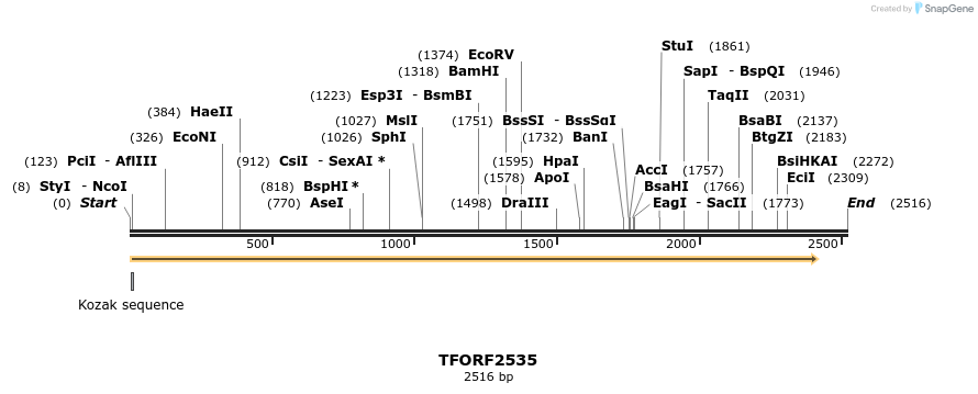 281006_map