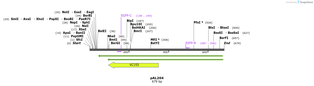 28101_map