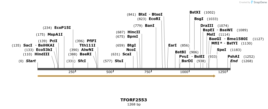 281012_map